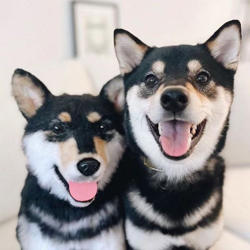 Honoring Their Memory: Why a Custom Pet Plush Replica Can Help With Grief