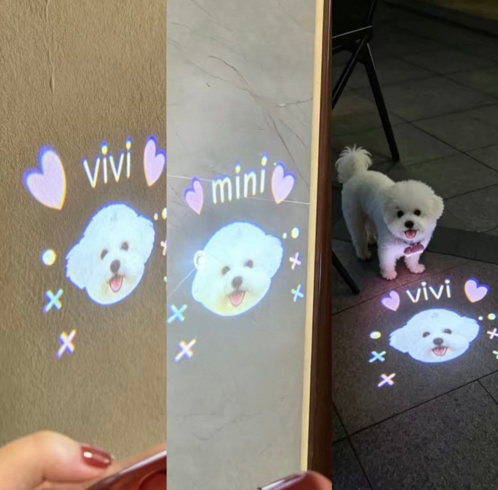 DIY Night Projection Light to Prevent Pets from Getting Lost