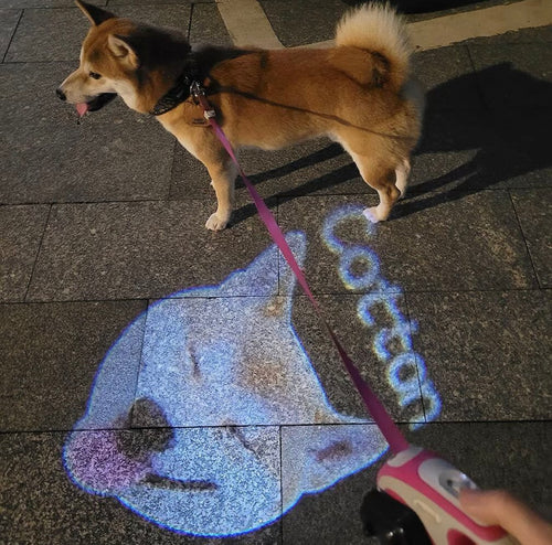 DIY Night Projection Light to Prevent Pets from Getting Lost