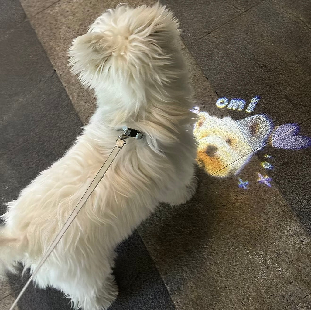 DIY Night Projection Light to Prevent Pets from Getting Lost