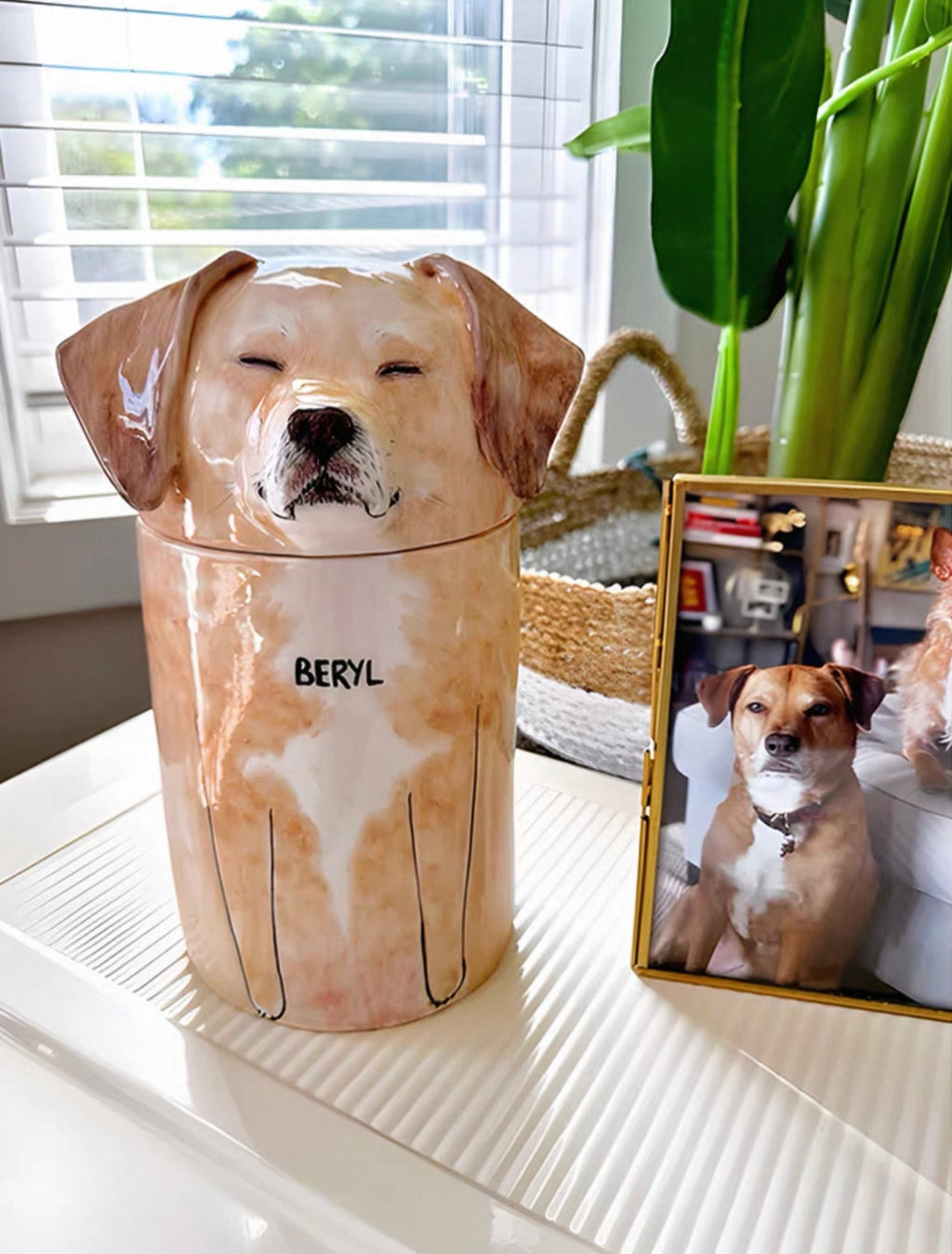 DIY Pet Ashes Box (Personalized Hand-Painted)