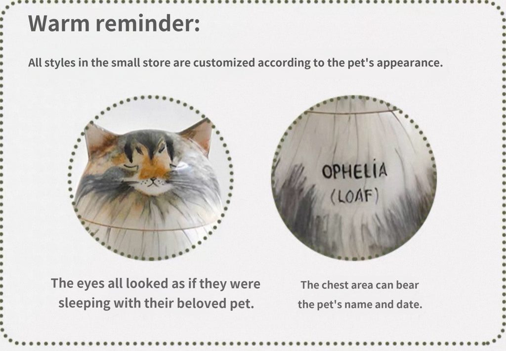 DIY Pet Ashes Box (Personalized Hand-Painted)