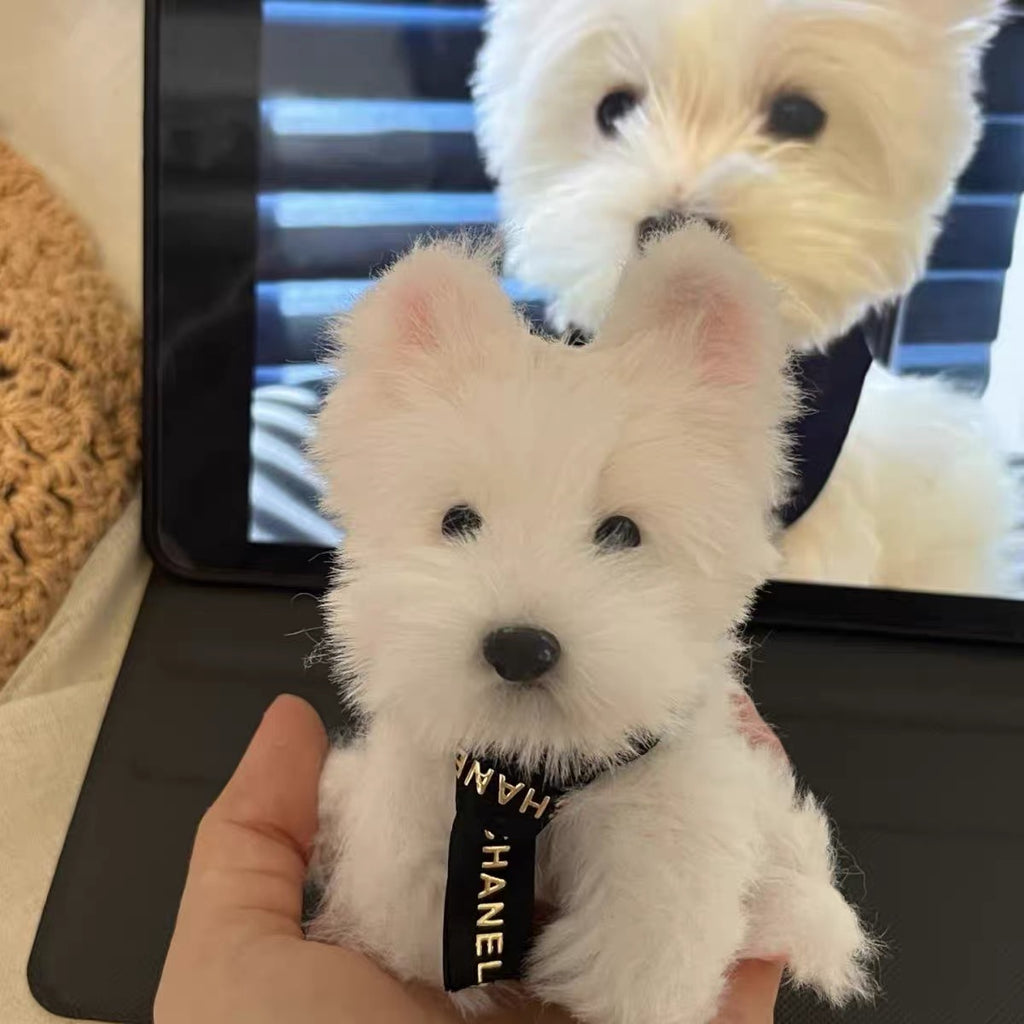 Skypet Custom Felt Pet Keychain